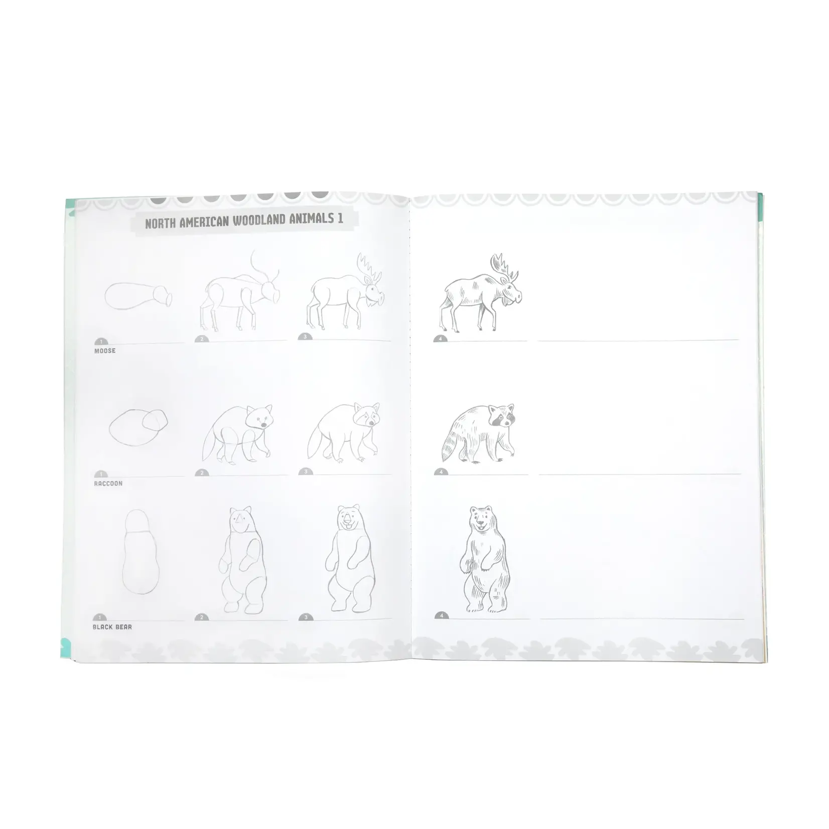 Learn to Draw Wild Animals