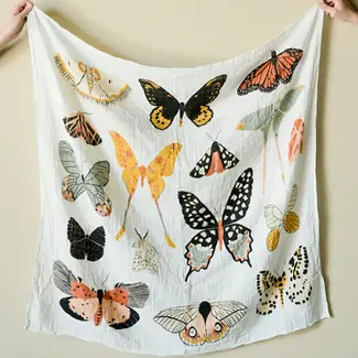 Butterfly Collector Swaddle