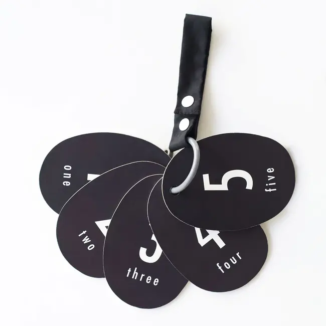 Stroller Cards - I See Bugs