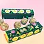 Sow the Magic Moon Phase Planting Set - Abundance