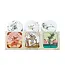 Sow the Magic Shower Steamer Set Limited Edition Tarot
