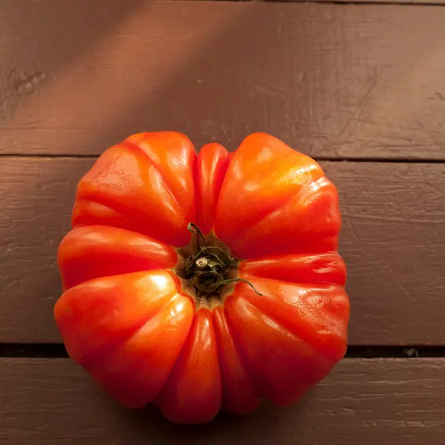 Sow the Magic Tarot Garden + Gift Seed Packet - Mushroom Basket Tomato