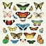 Vintage Cloth Napkin Set (4) - Butterflies