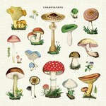 Vintage Cloth Napkin Set (4) - Mushrooms