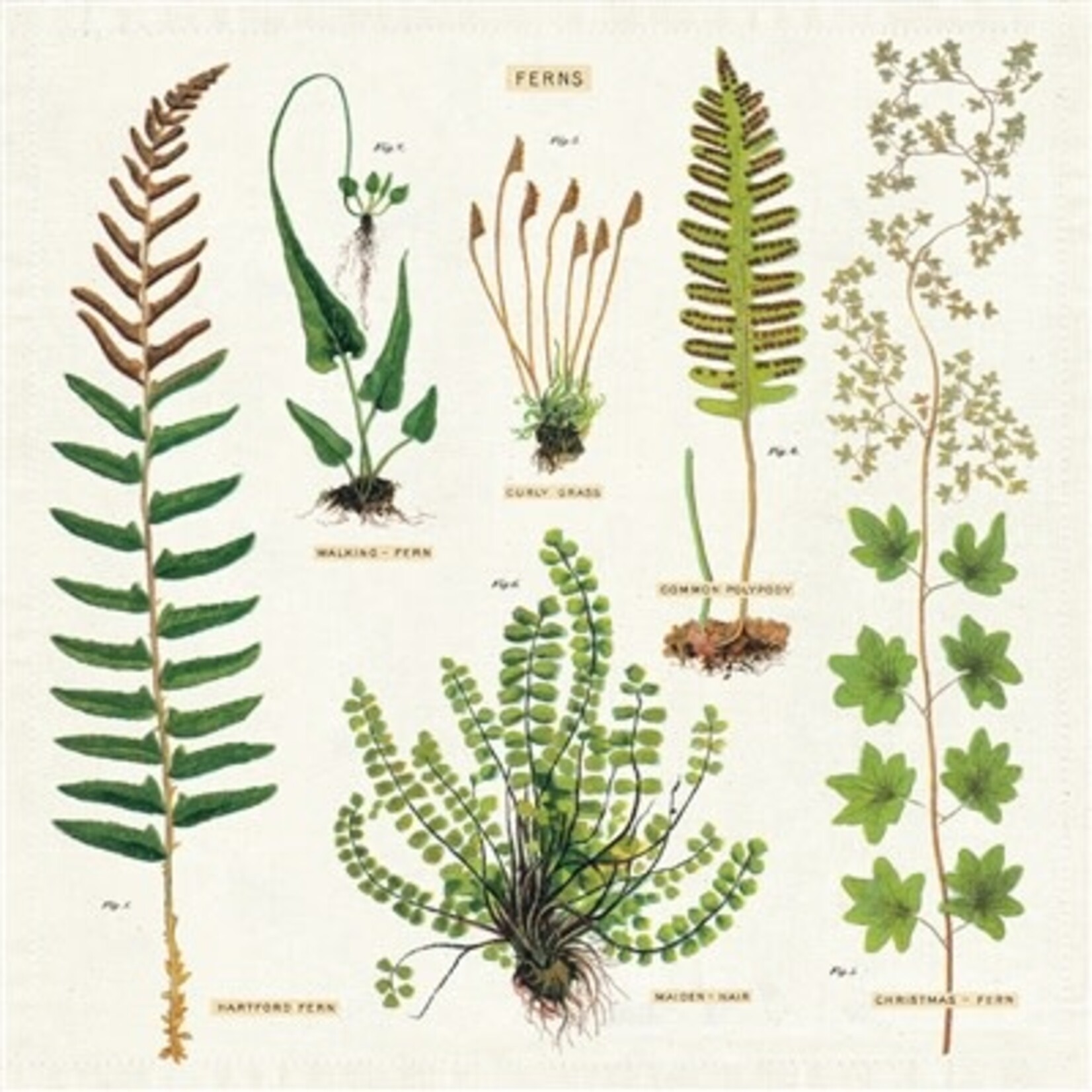 Vintage Cloth Napkin Set (4) - Fern