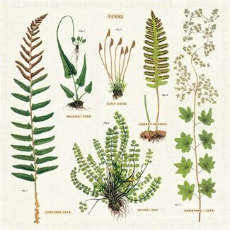 Vintage Cloth Napkin Set (4) - Fern