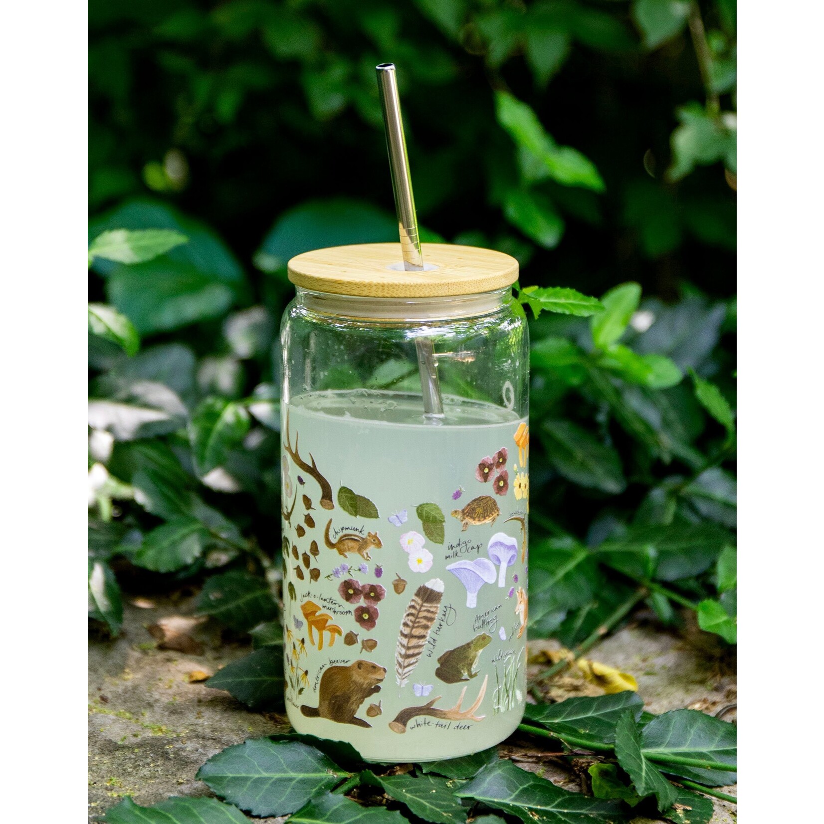 Glass Can - Flora & Fauna