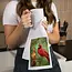 Lantern Press Tea Towel - Cardinals
