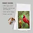 Lantern Press Tea Towel - Cardinals