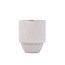 Parks Candle 11oz - Glacier White Pine + Hemlock
