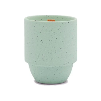 Parks Candle 11oz - Olympic Moss + Mint