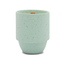 Parks Candle 11oz - Olympic Moss + Mint