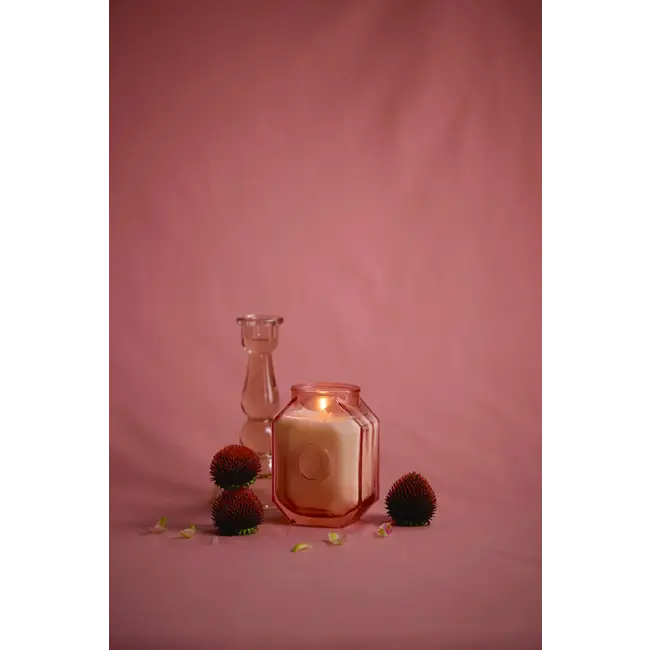 Botanica 8oz Candle - Saffron + Rose