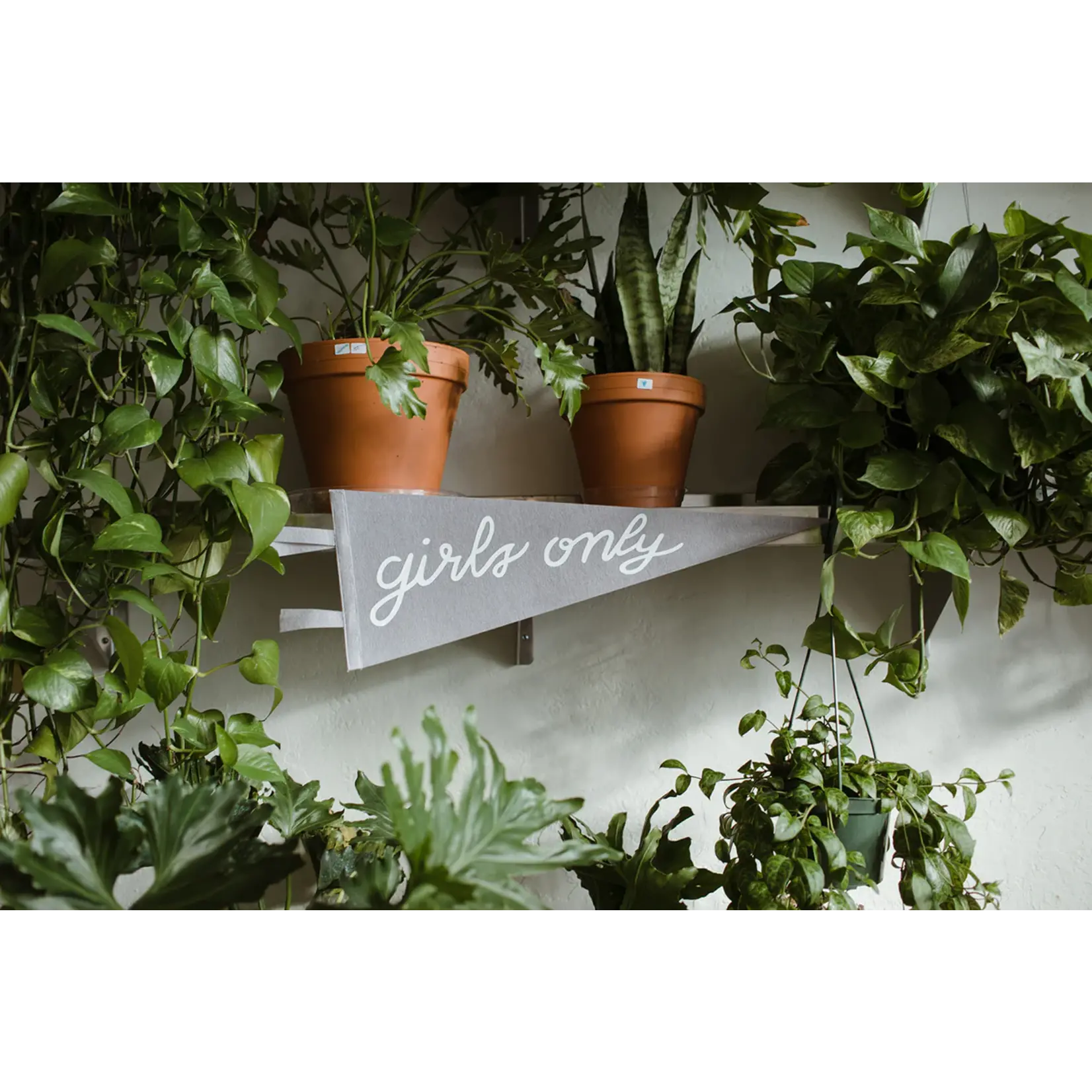 Aviate Press Aviate Press Pennant - Girls Only