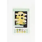 Paint By Numbers Kit - Golden Oyster Mushrooms
