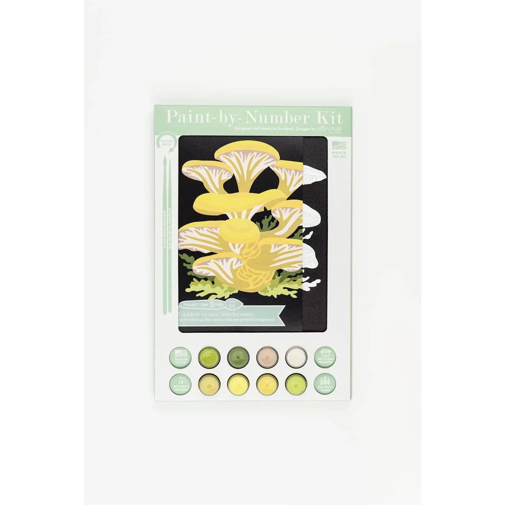 Paint By Numbers Kit - Golden Oyster Mushrooms