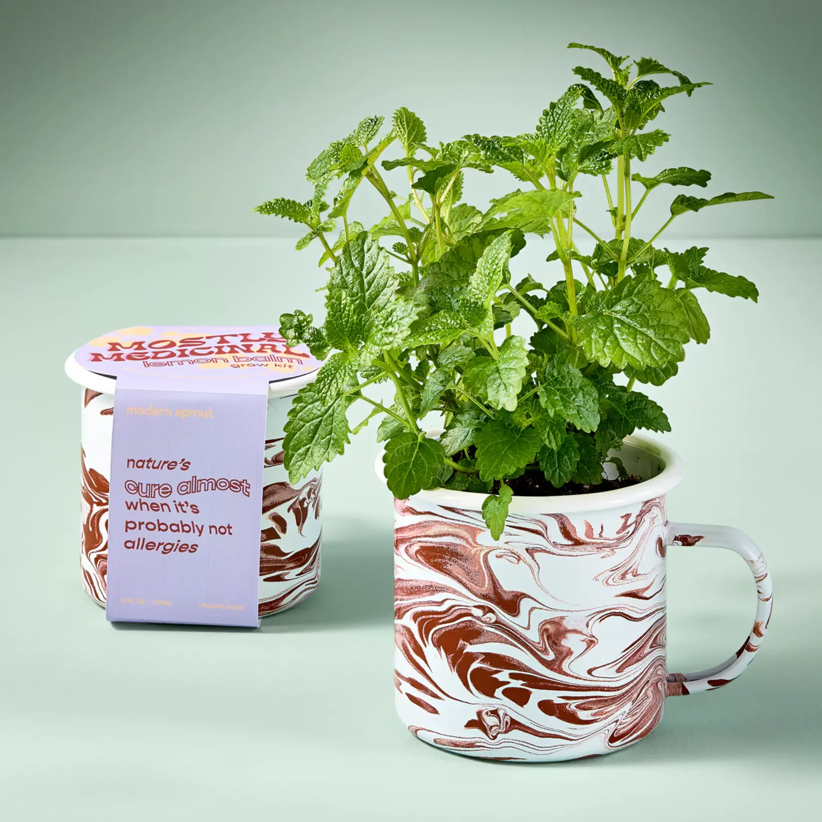 Altered Herb Mug Grow Kit - Lemon Basil