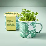 Altered Herb Mug Grow Kit - Holy Basil