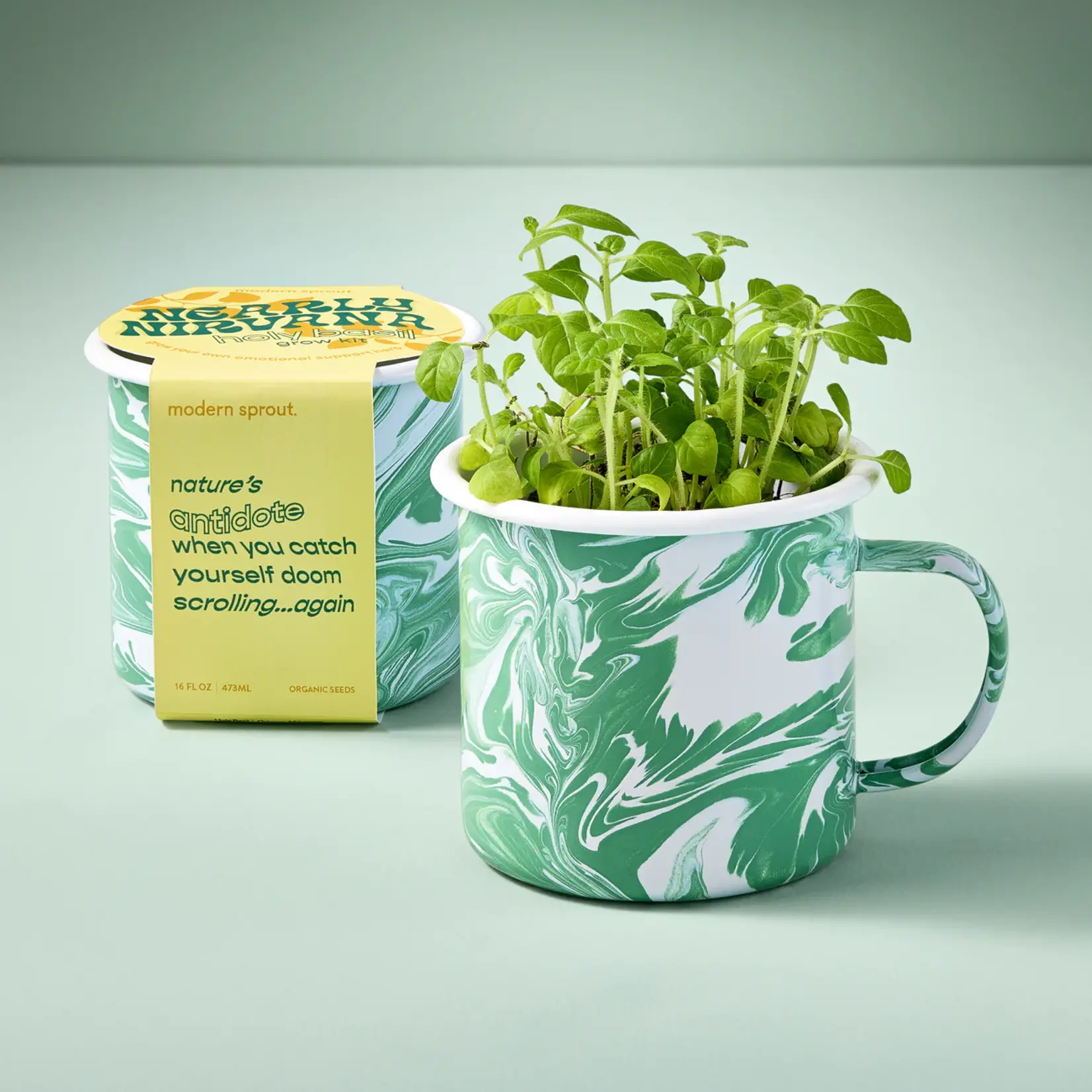 Altered Herb Mug Grow Kit - Holy Basil