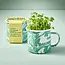 Altered Herb Mug Grow Kit - Holy Basil