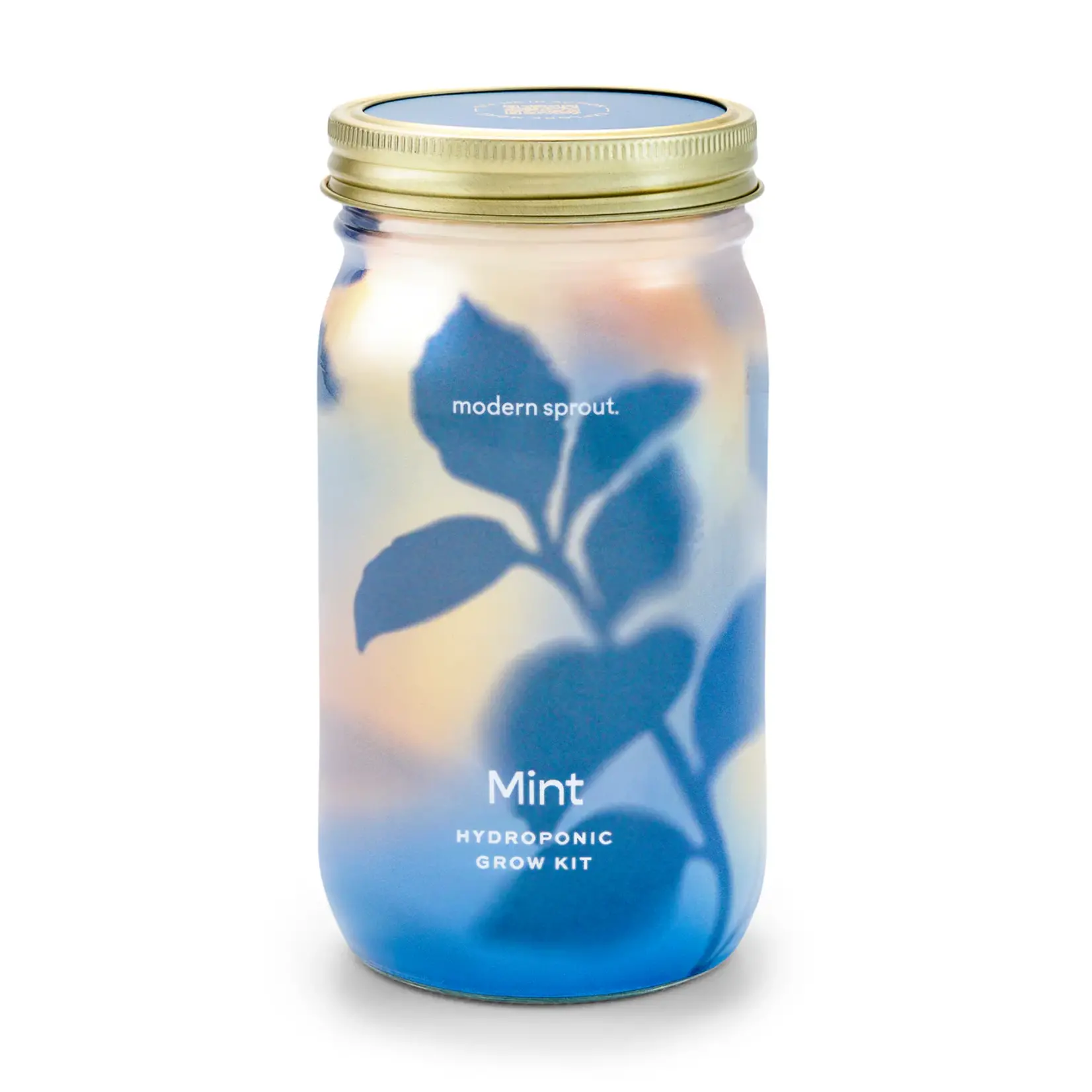 Herb Garden Jar - Mint
