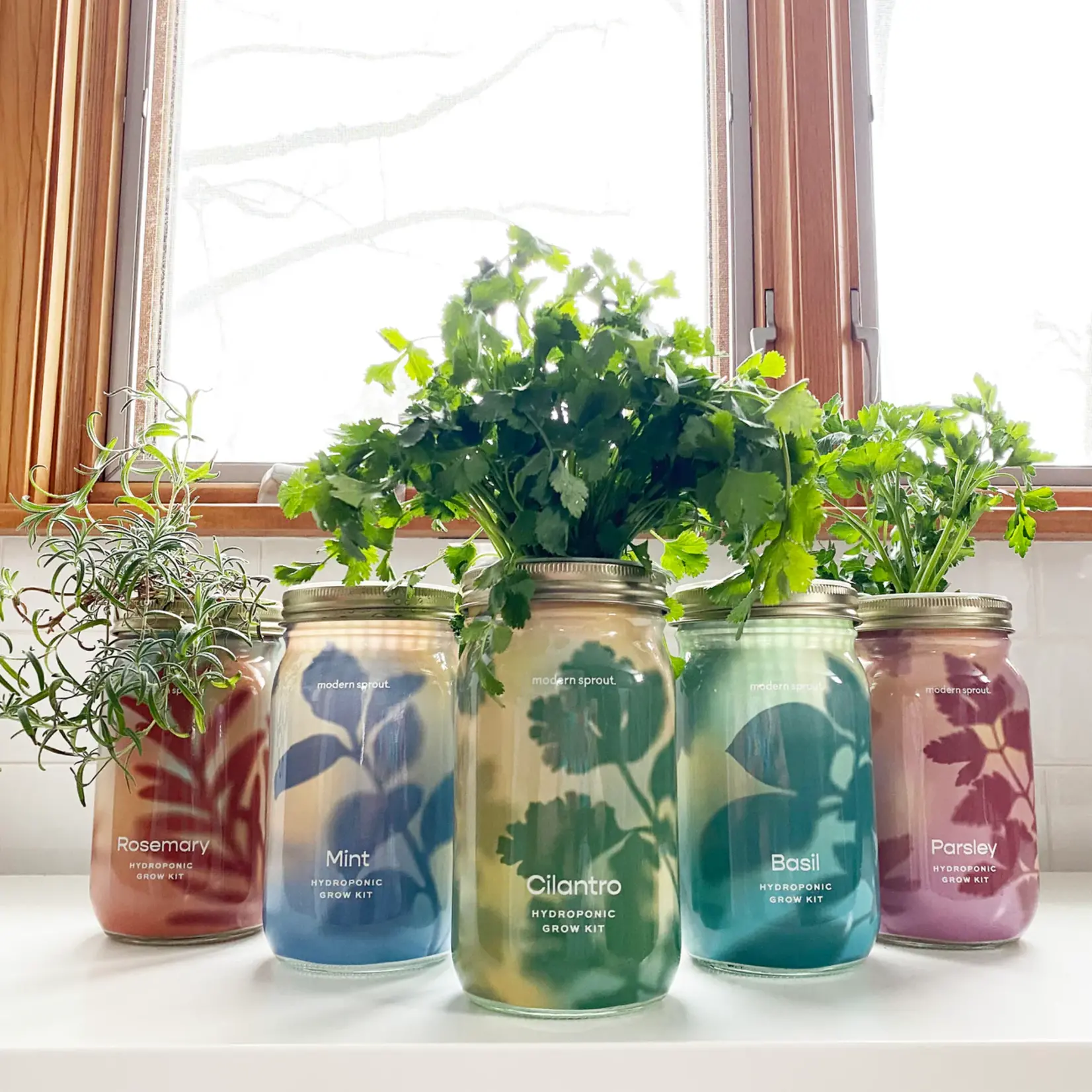 Herb Garden Jar - Mint
