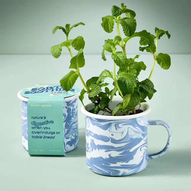 Altered Herb Mug Grow Kit - Soothing Mint