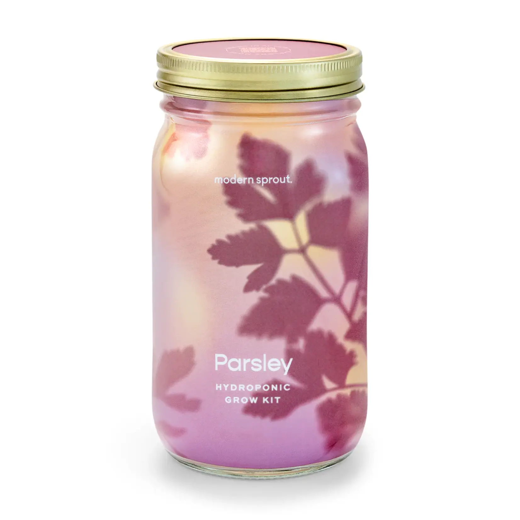 Herb Garden Jar - Parsley