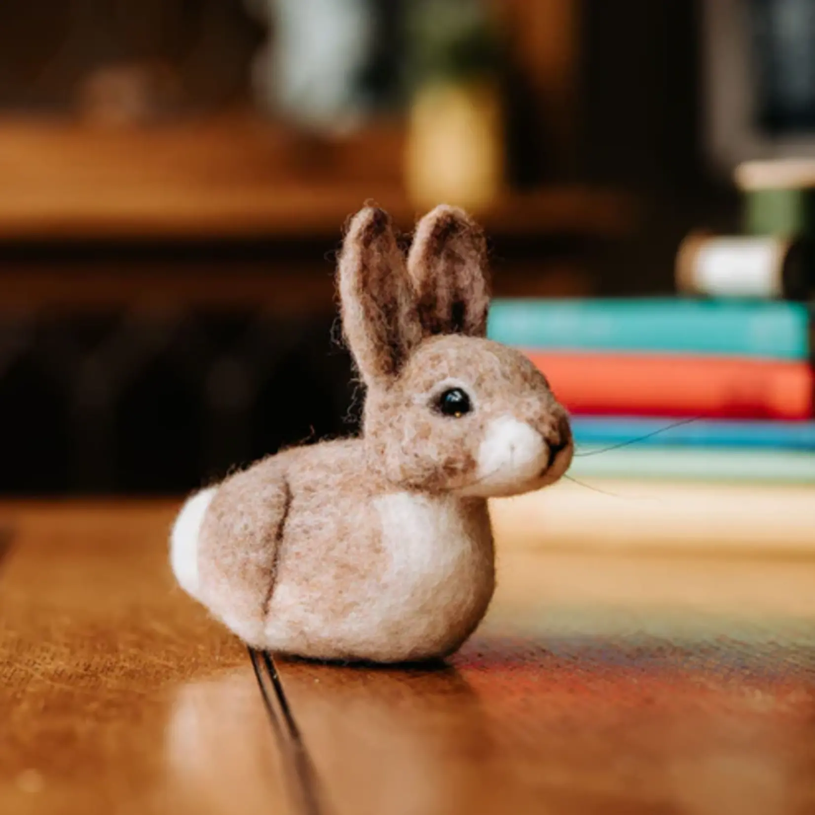 Needle Felting Kit - Baby Bunny