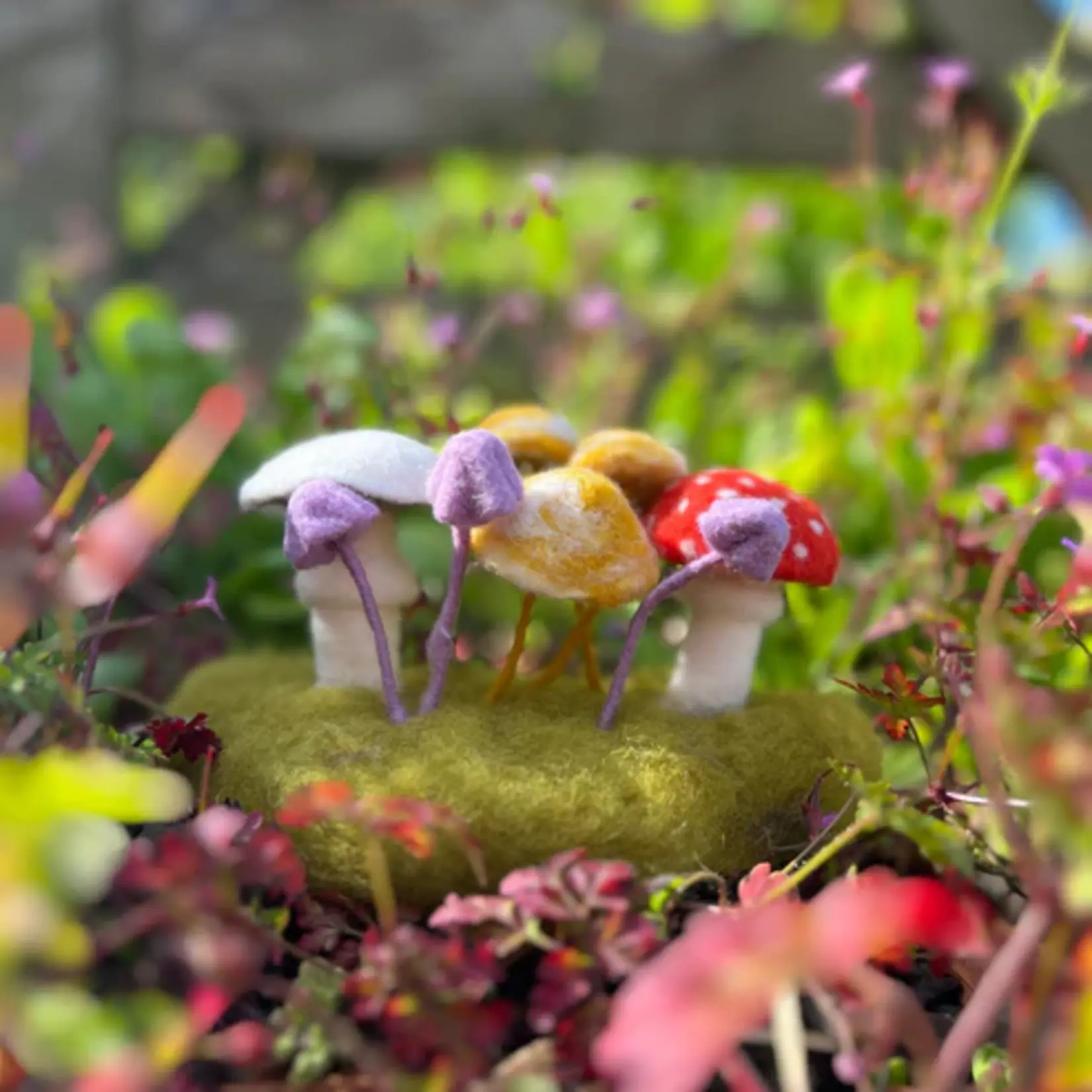 Needle Felting Kit - Woodland Toadstools