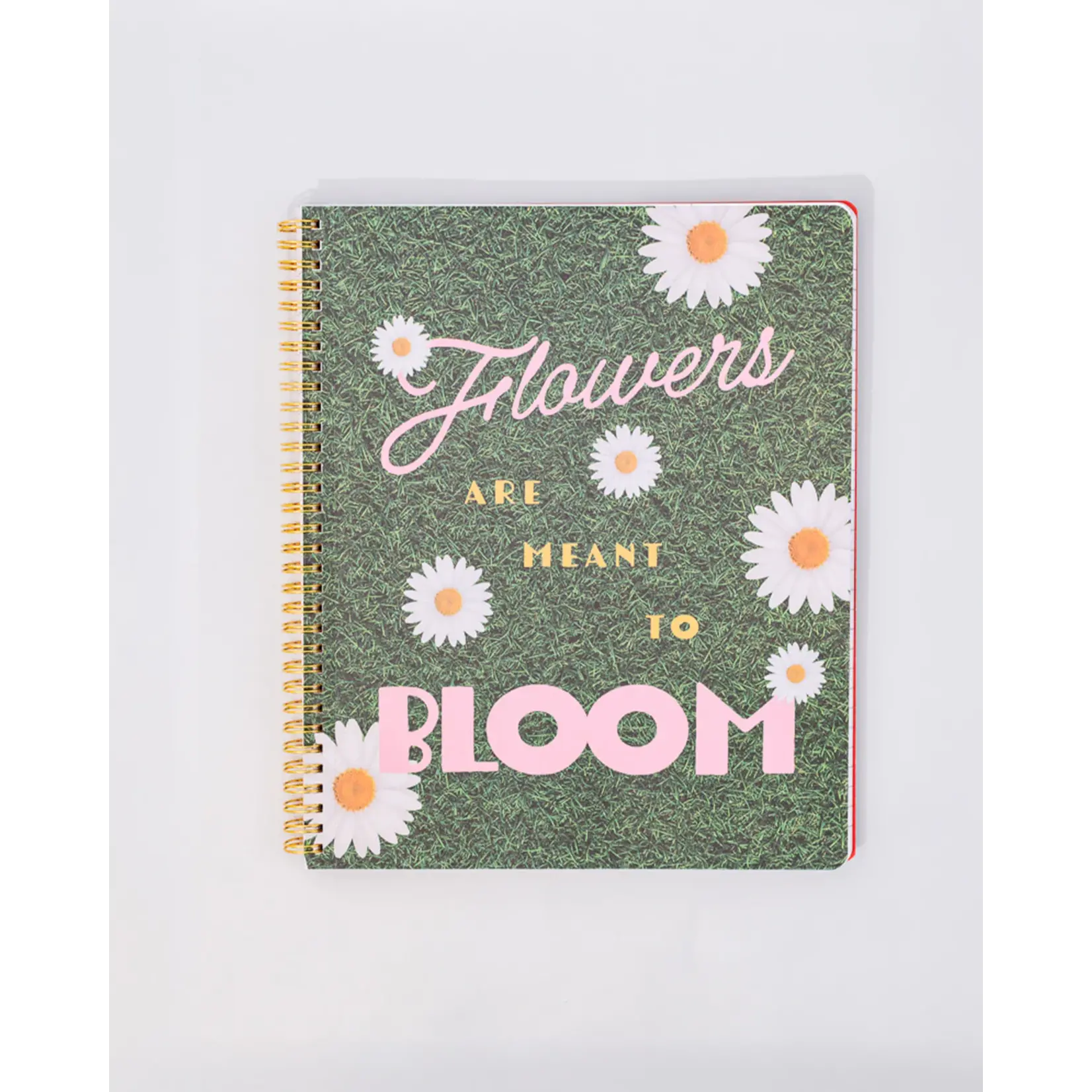 Rough Draft Large Notebook - Floral Stripe