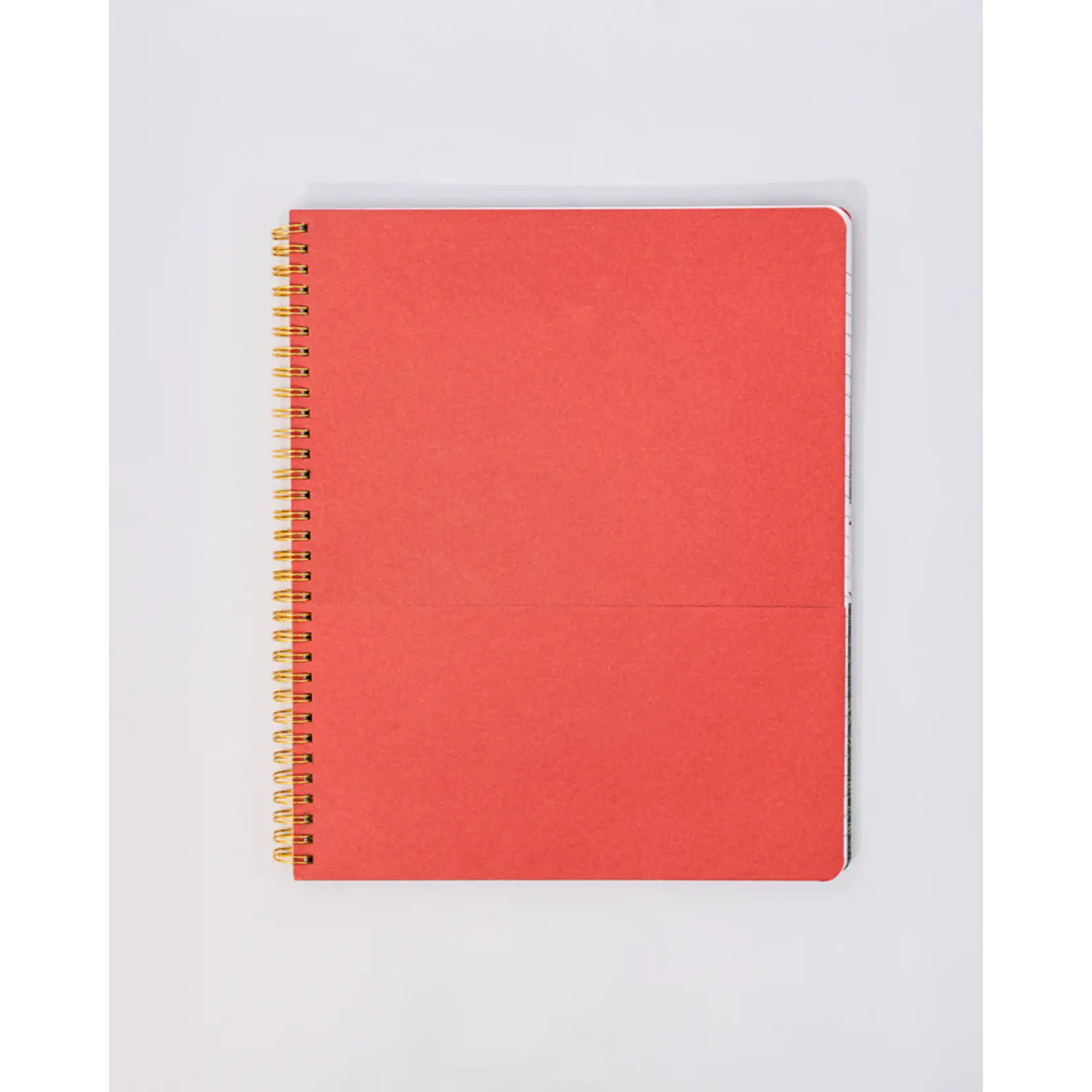Rough Draft Large Notebook - Floral Stripe