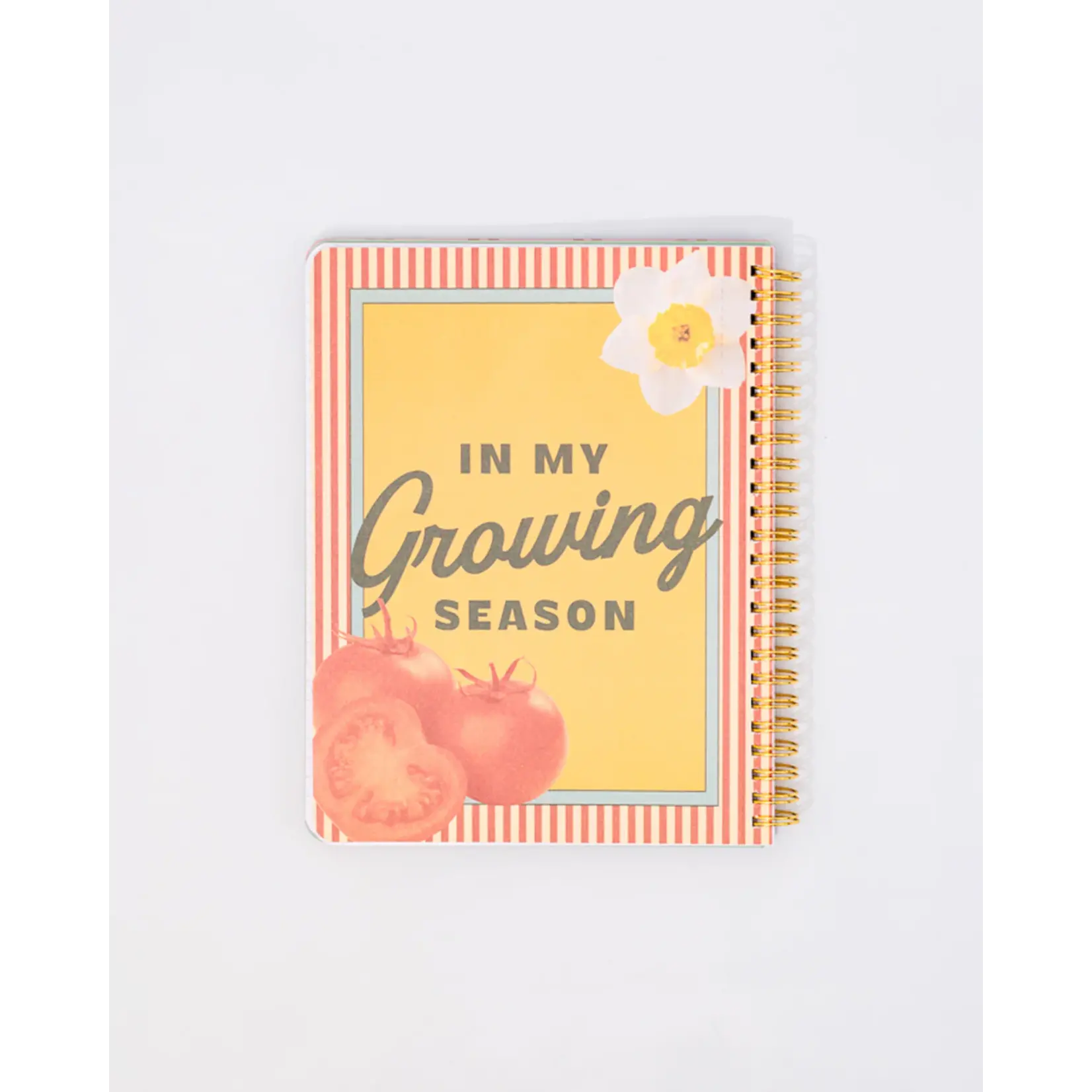 Rough Draft Mini Notebook - Find Me In the Garden