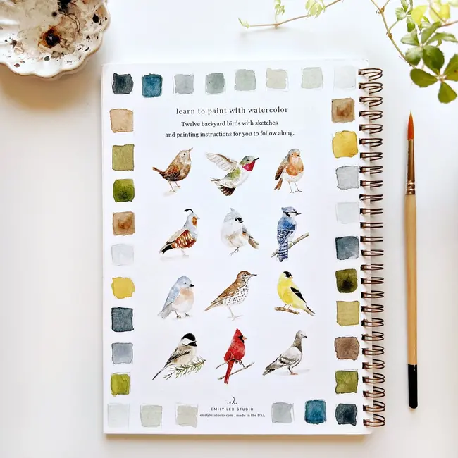Watercolor Workbook: Birds