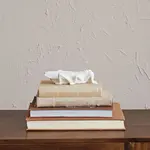 Stoneware Bisque Grasshopper