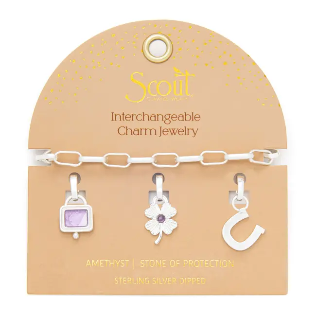 Interchangeable Charm Bracelet - Amethyst
