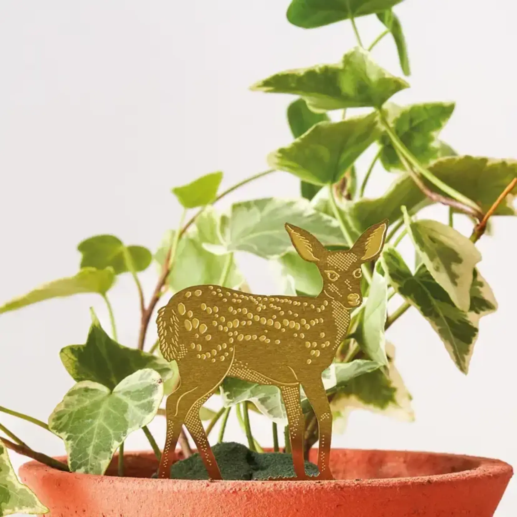 Plant Animal - Deer