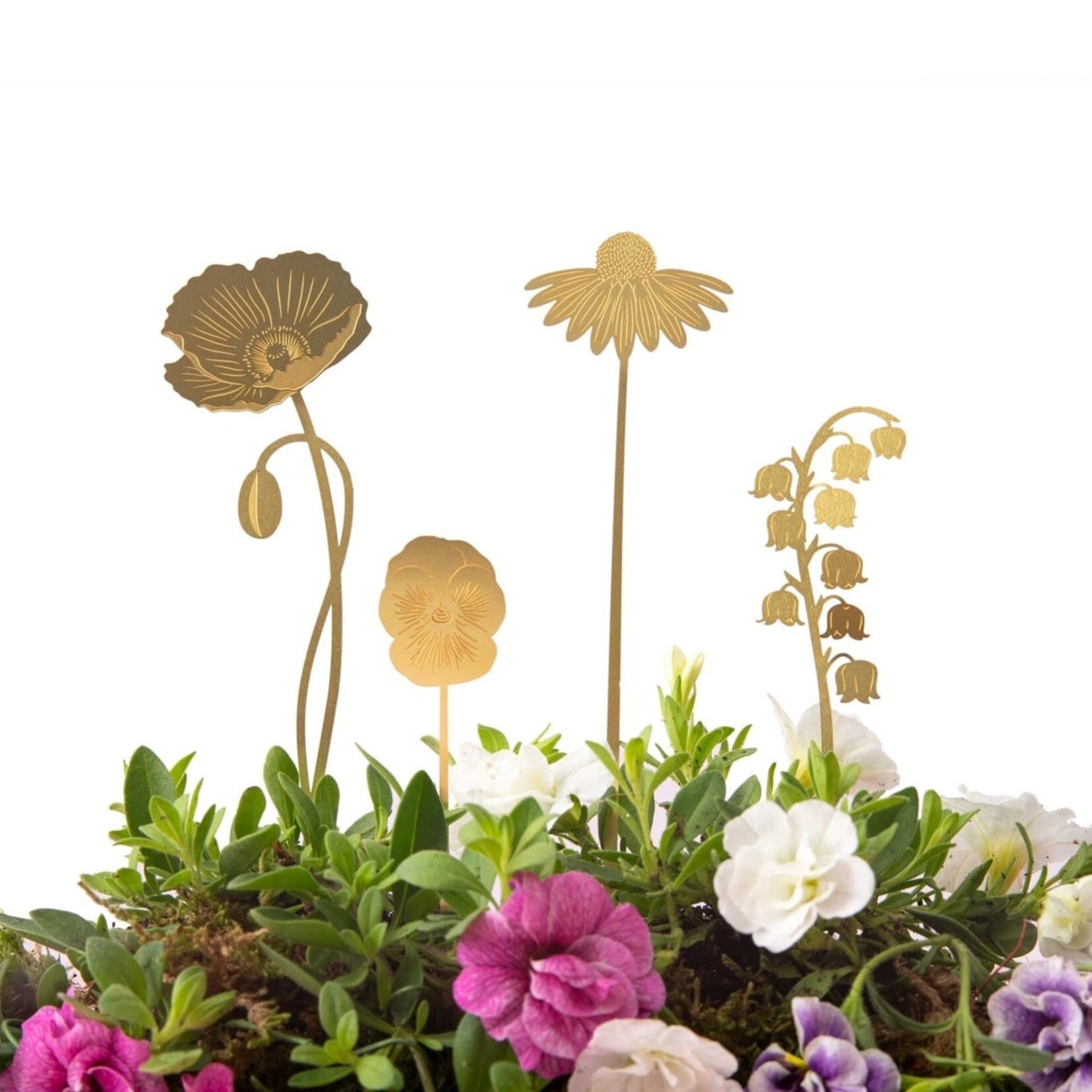 Plant + Terrarium Garden Decorations