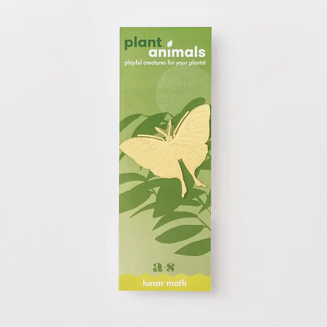 Plant Animal - Luna Moth