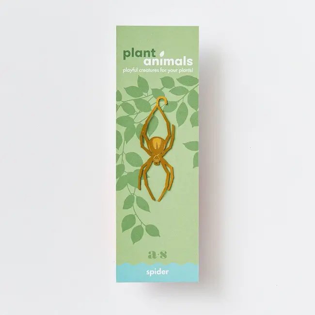 Plant Animal - Spider