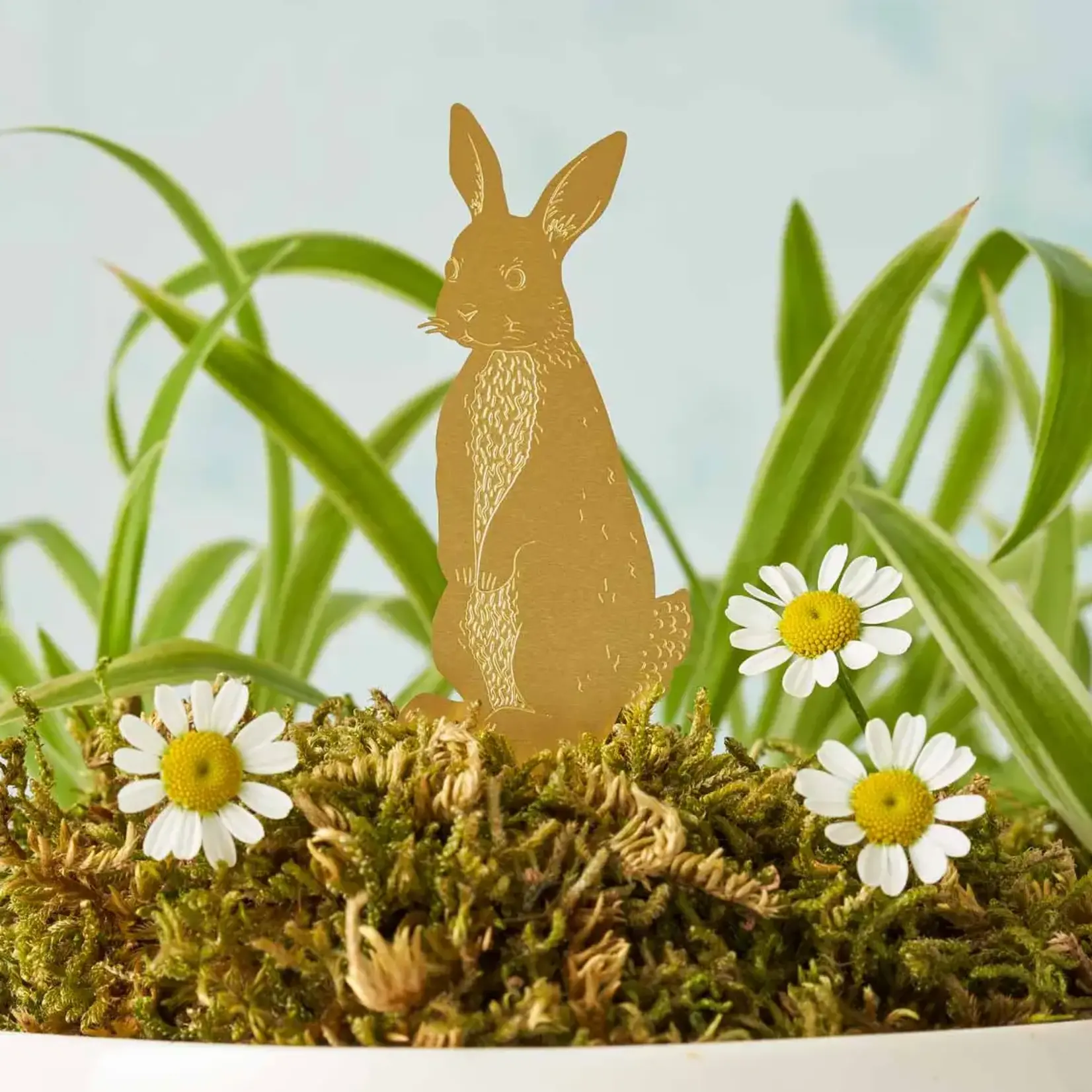 Plant Animal - Rabbit