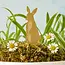 Plant Animal - Rabbit