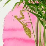 Plant Animal - Praying Mantis