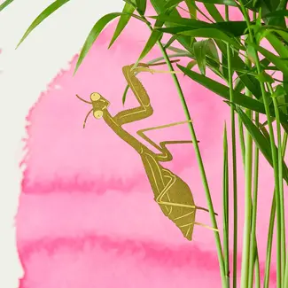 Plant Animal - Praying Mantis