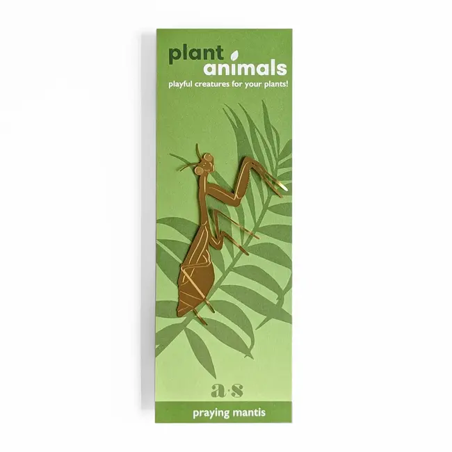 Plant Animal - Praying Mantis