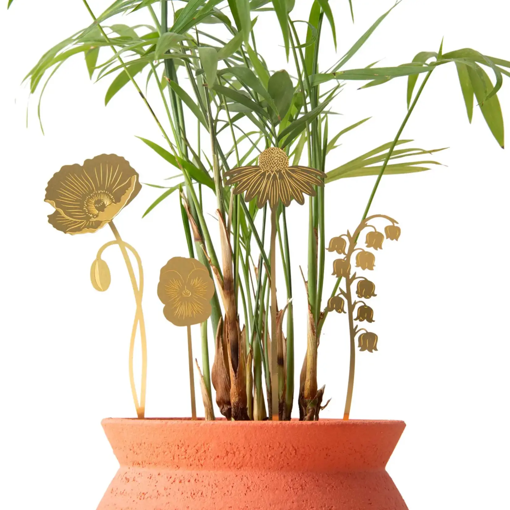 Plant + Terrarium Garden Decorations