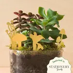 Mini Mushrooms Plant + Terrarium Decorations