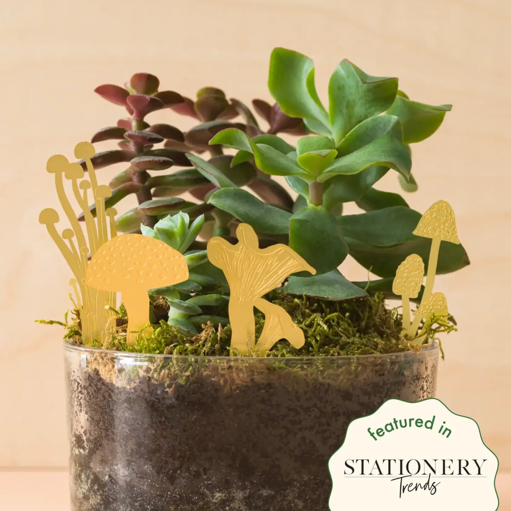 Mini Mushrooms Plant + Terrarium Decorations