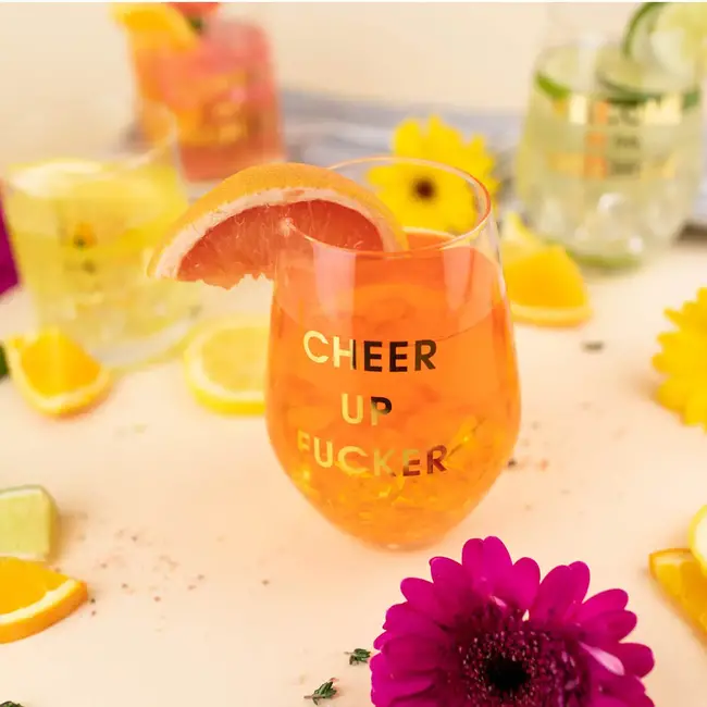 Wine Glass - Cheer Up Fucker