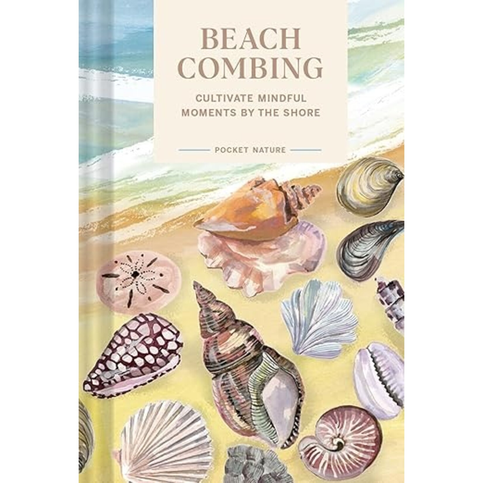 Pocket Nature: Beachcombing: Cultivate Mindful Moments by the Shore